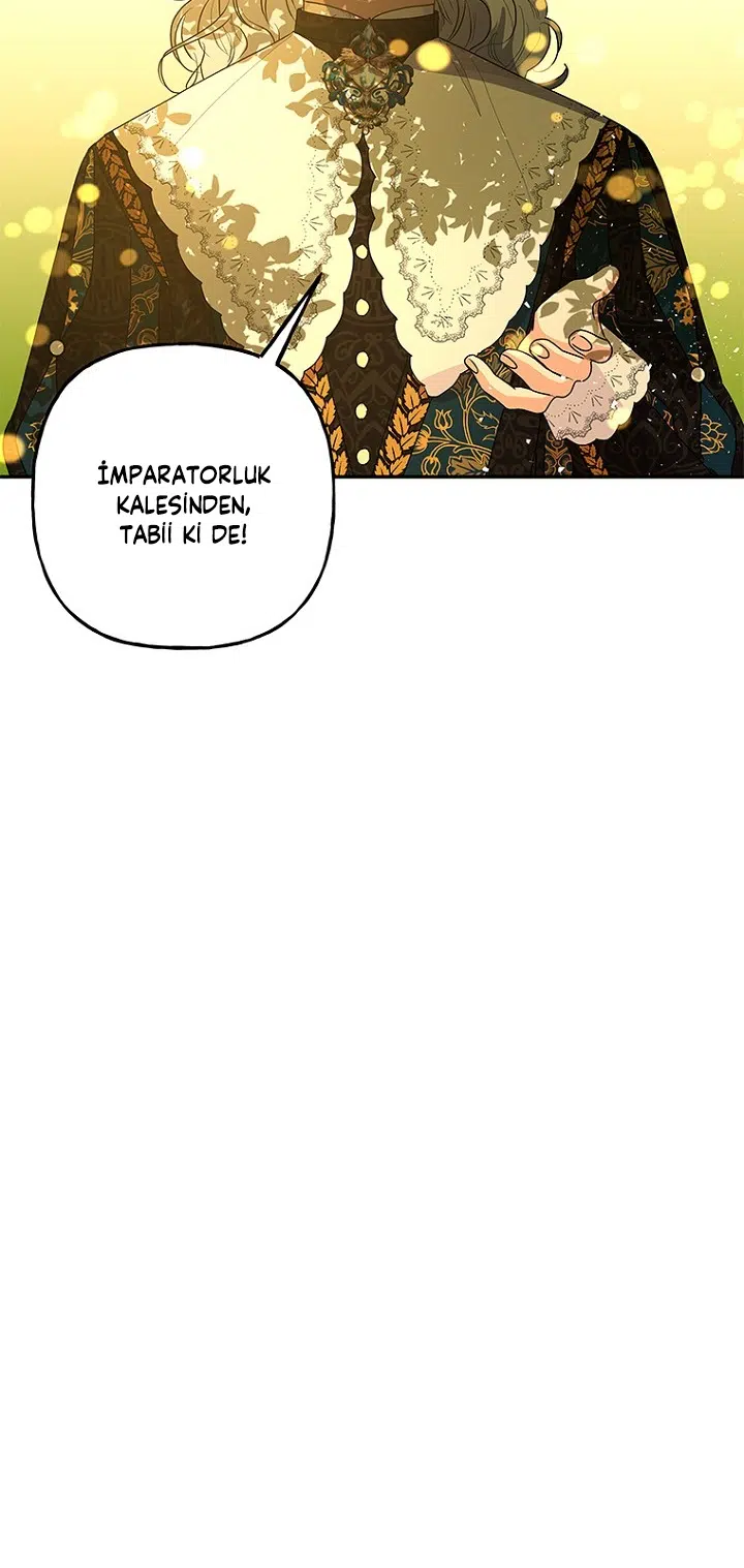 Büyünün Varisi - Bölüm 97 Sayfa 42