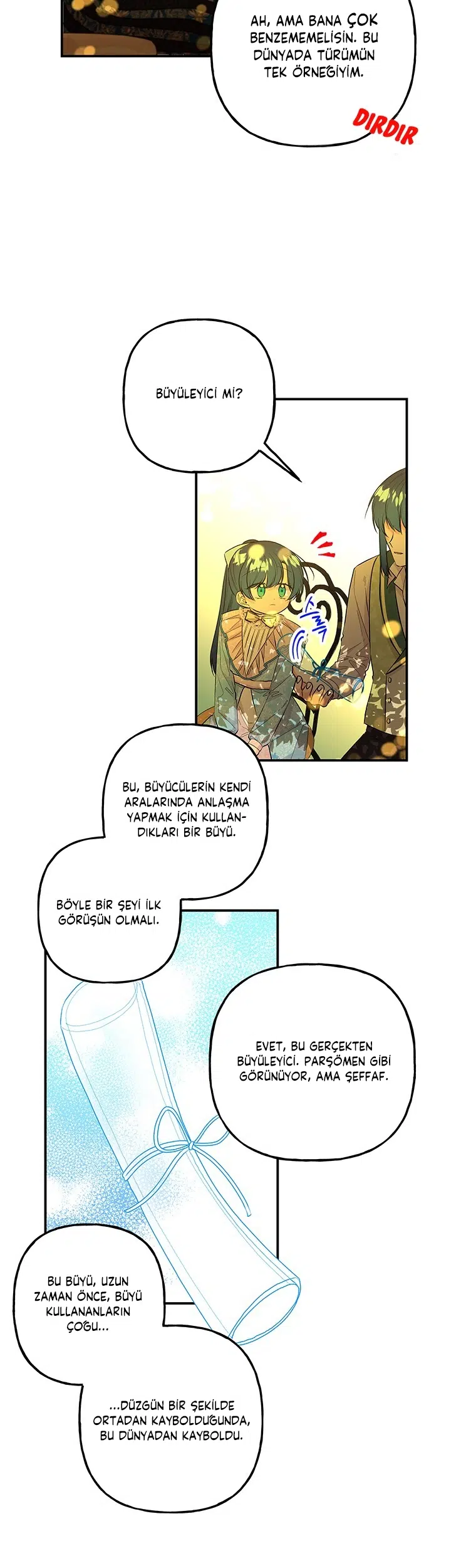 Büyünün Varisi - Bölüm 98 Sayfa 17