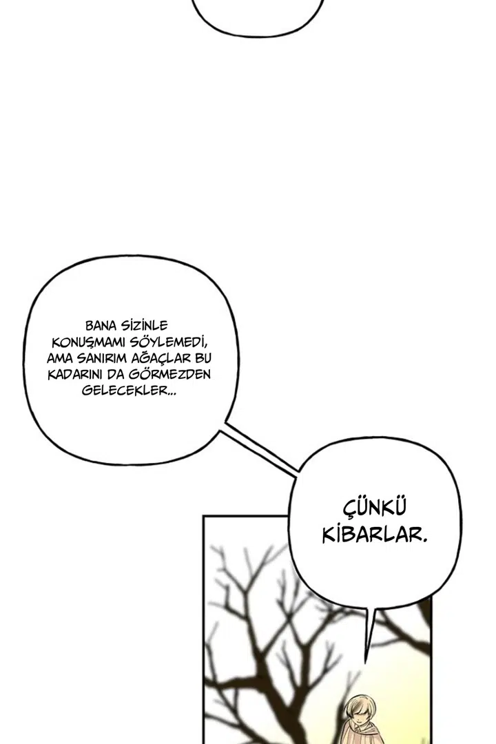 Büyünün Varisi - Bölüm 99 Sayfa 31