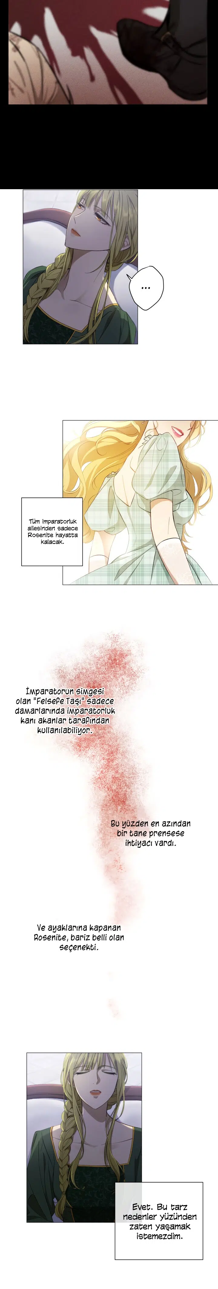 Haini Mühürleyen Prenses - Bölüm 1 Sayfa 8