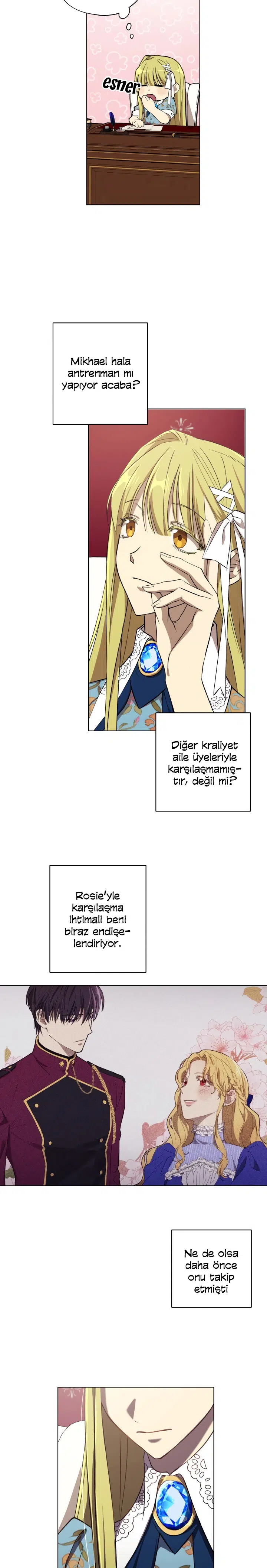 Haini Mühürleyen Prenses - Bölüm 15 Sayfa 11