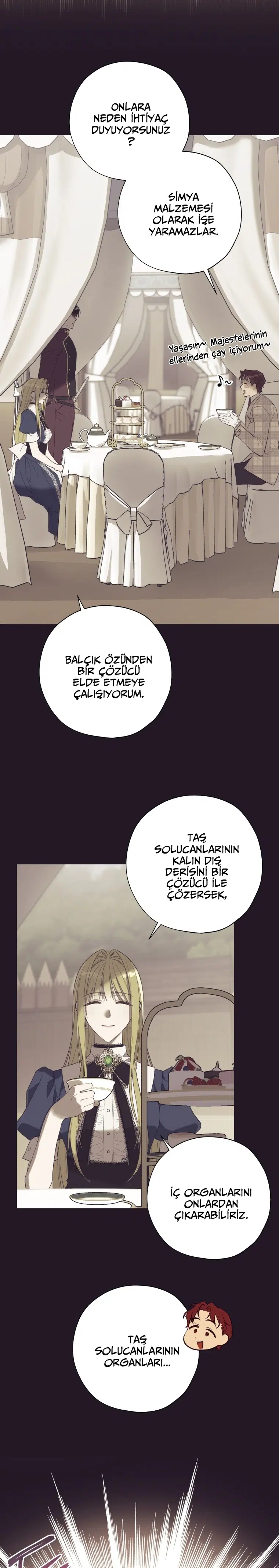 Haini Mühürleyen Prenses - Bölüm 43 Sayfa 22