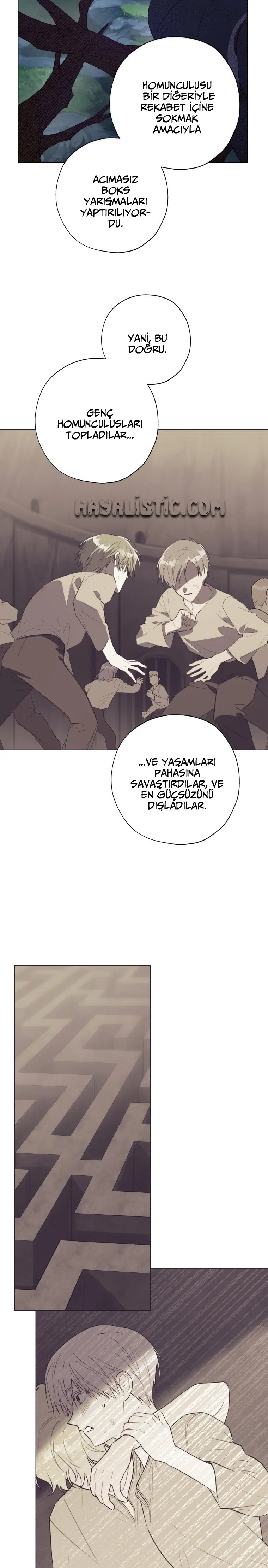 Haini Mühürleyen Prenses - Bölüm 45 Sayfa 7