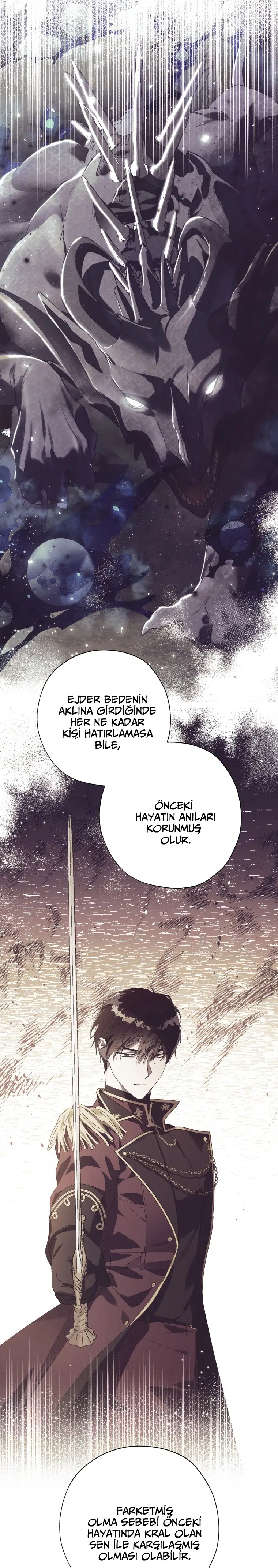 Haini Mühürleyen Prenses - Bölüm 52 Sayfa 8