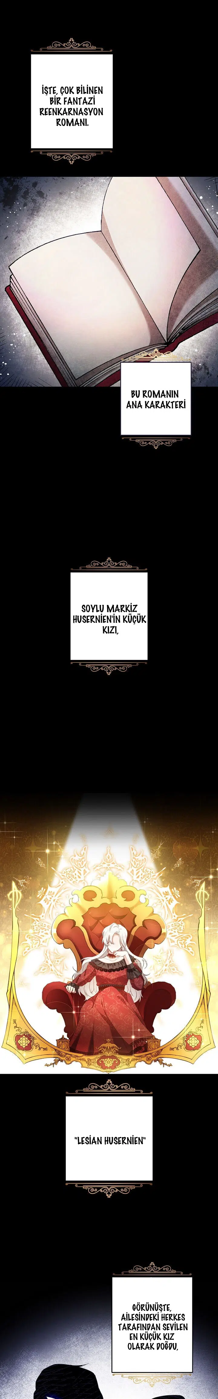 Neden Bir Zorba Olarak Yaşıyor? - Bölüm 1 Sayfa 2
