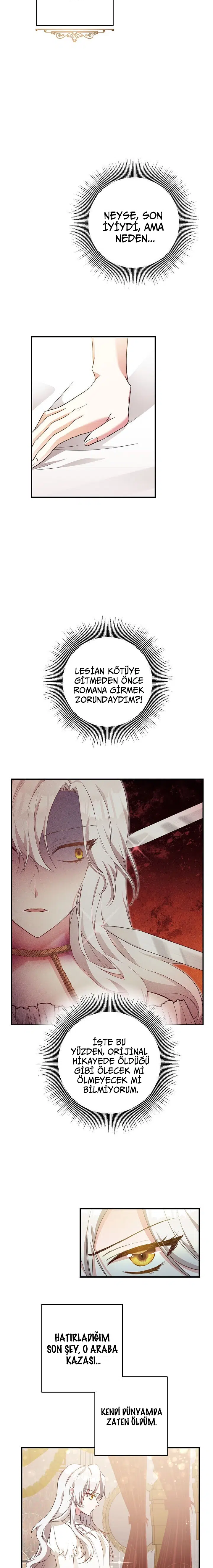 Neden Bir Zorba Olarak Yaşıyor? - Bölüm 1 Sayfa 8