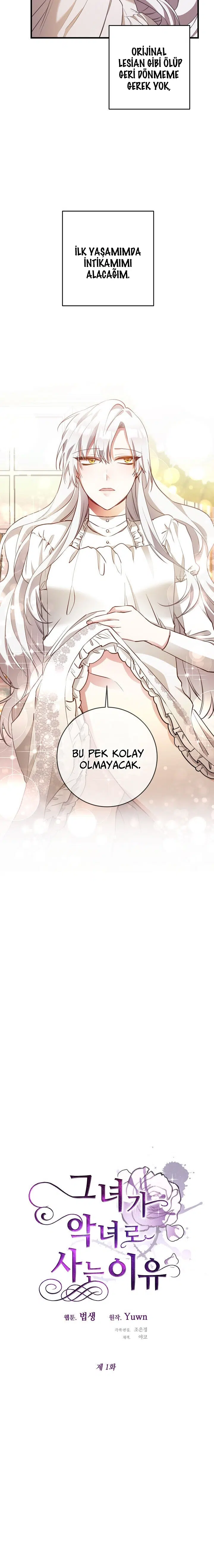 Neden Bir Zorba Olarak Yaşıyor? - Bölüm 1 Sayfa 10