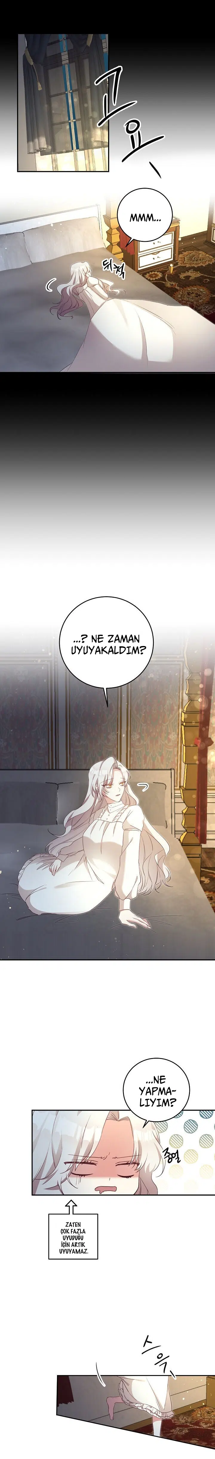 Neden Bir Zorba Olarak Yaşıyor? - Bölüm 2 Sayfa 13