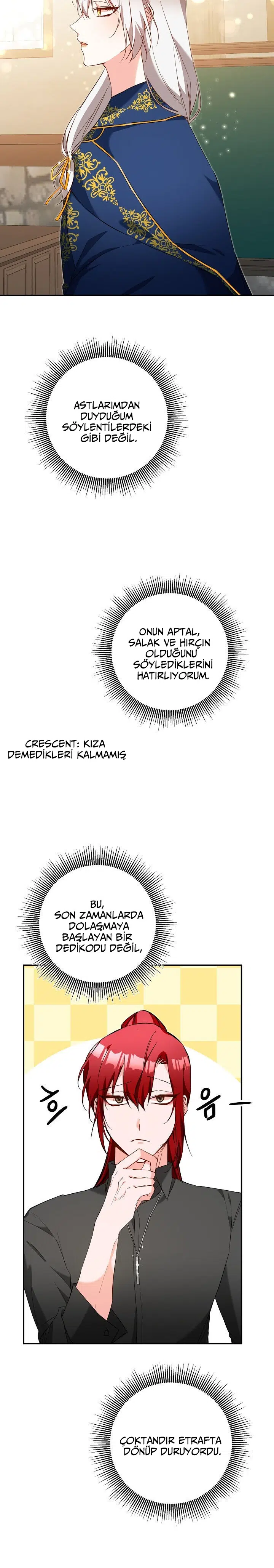 Neden Bir Zorba Olarak Yaşıyor? - Bölüm 11 Sayfa 13