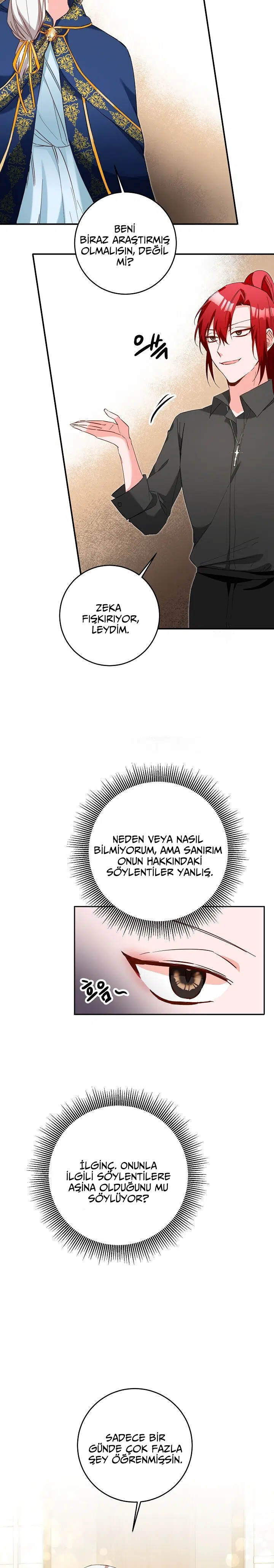 Neden Bir Zorba Olarak Yaşıyor? - Bölüm 11 Sayfa 15