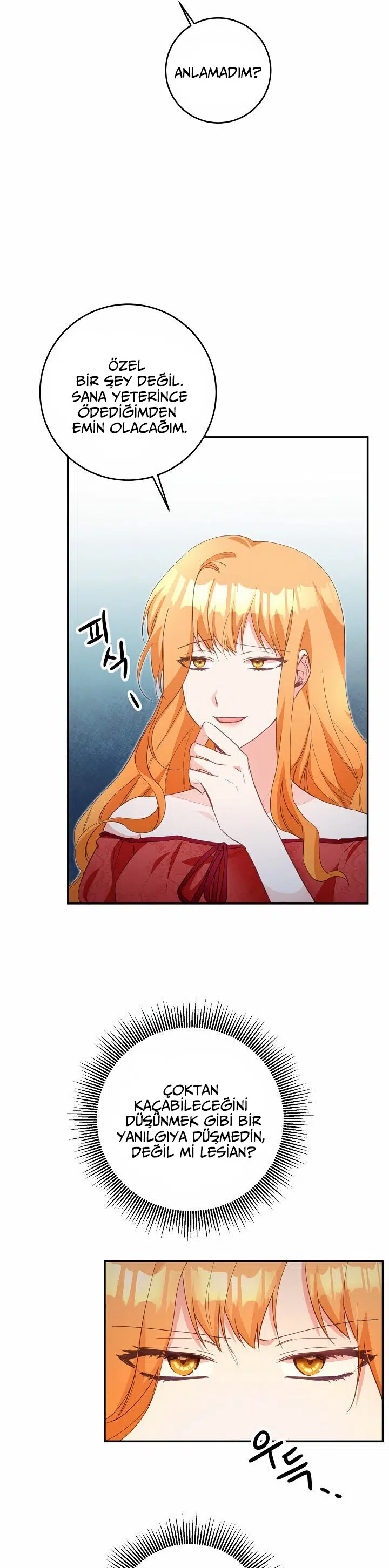 Neden Bir Zorba Olarak Yaşıyor? - Bölüm 16 Sayfa 14