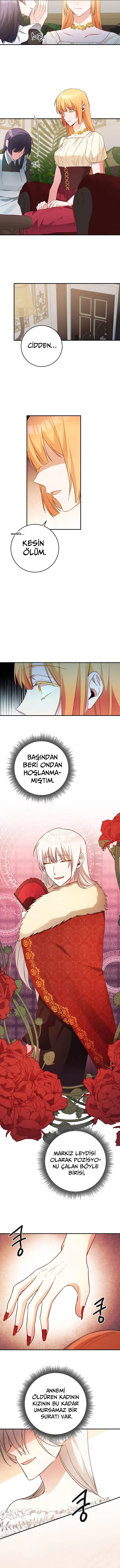 Neden Bir Zorba Olarak Yaşıyor? - Bölüm 47 Sayfa 7