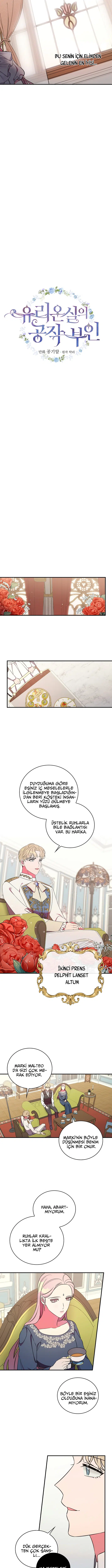 Kırık Camların Ardında - Bölüm 17 Sayfa 3
