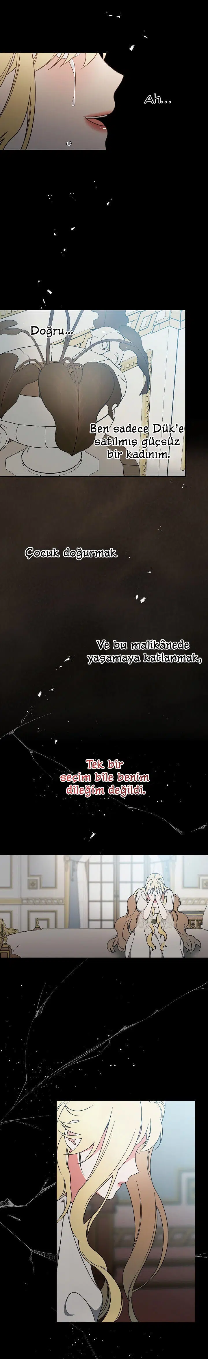 Kırık Camların Ardında - Bölüm 29 Sayfa 8