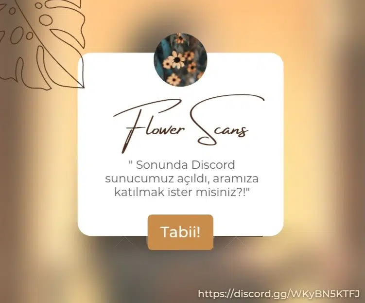 Kırık Camların Ardında - Bölüm 29 Sayfa 22