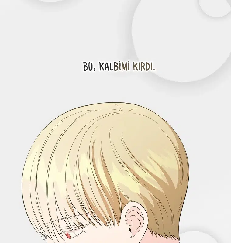 Kırık Camların Ardında - Bölüm 47 Sayfa 14