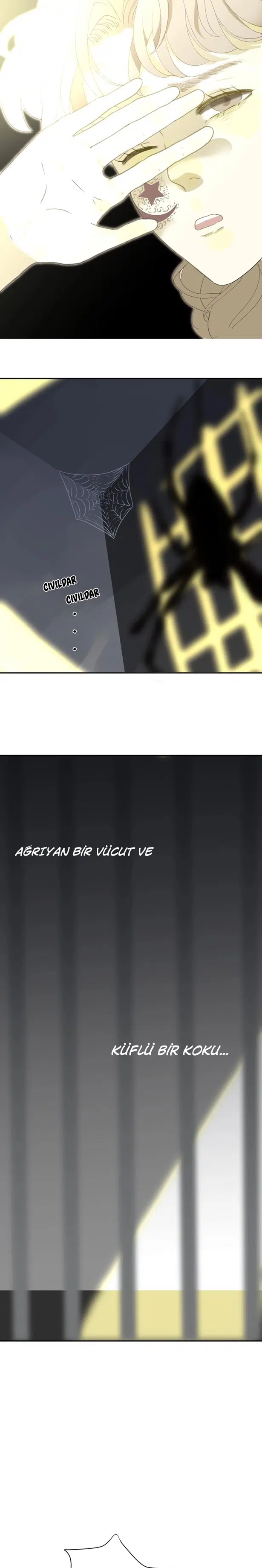 Zorbanın Gözyaşları - Bölüm 1 Sayfa 36