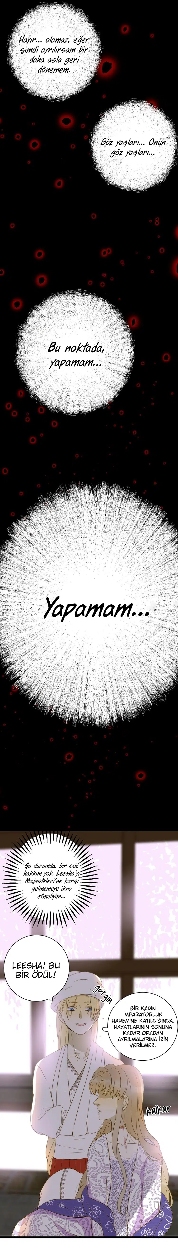 Zorbanın Gözyaşları - Bölüm 8 Sayfa 3