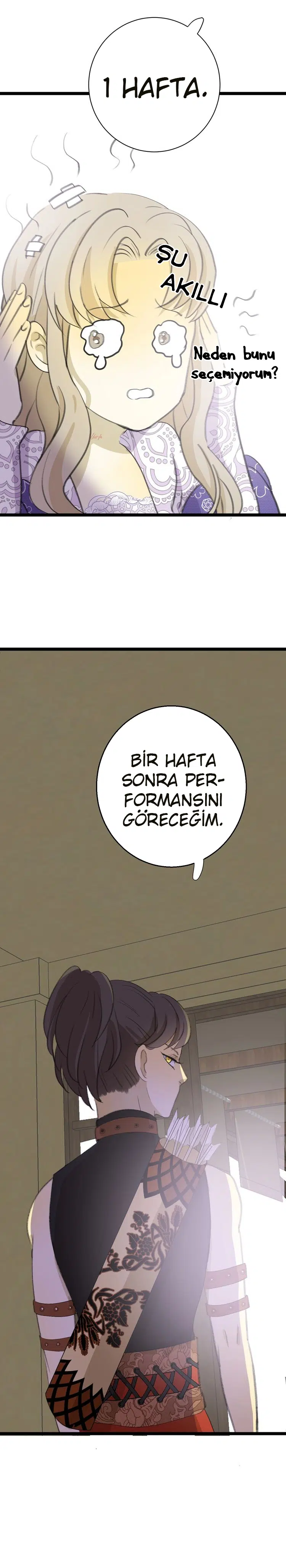 Zorbanın Gözyaşları - Bölüm 8 Sayfa 13