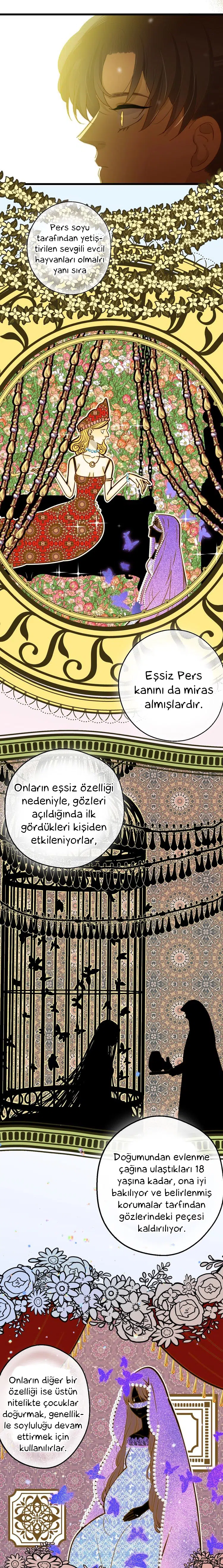 Zorbanın Gözyaşları - Bölüm 10 Sayfa 27