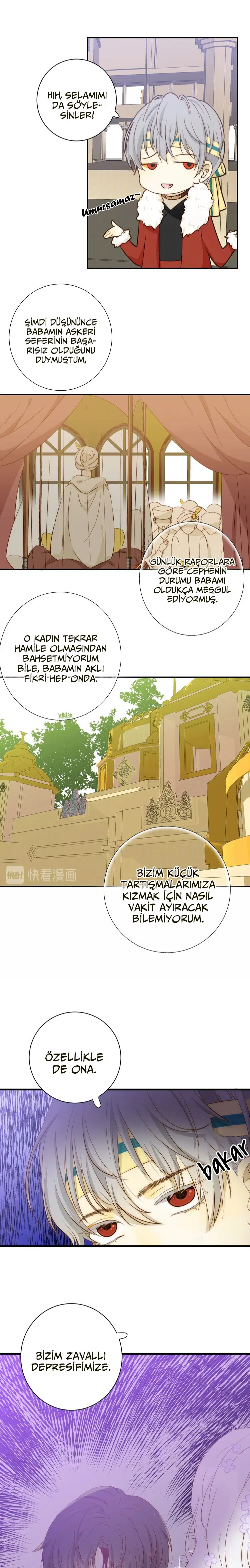 Zorbanın Gözyaşları - Bölüm 11 Sayfa 5