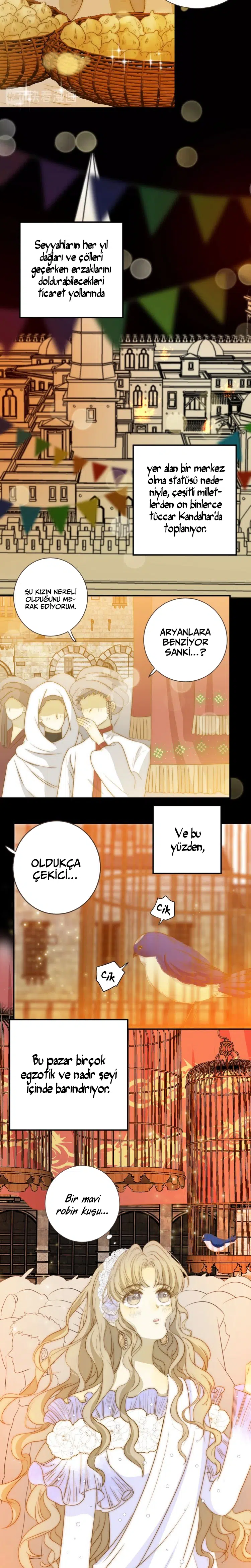 Zorbanın Gözyaşları - Bölüm 22 Sayfa 5
