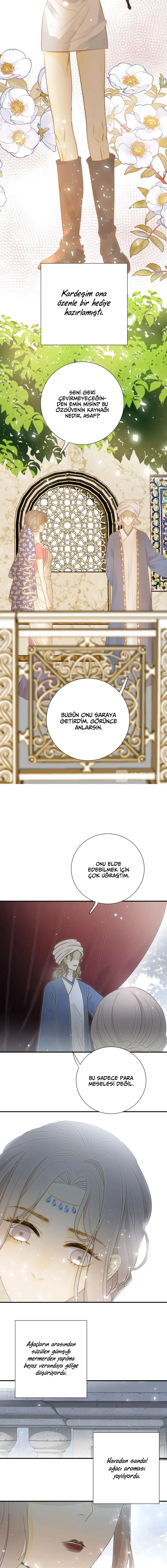 Zorbanın Gözyaşları - Bölüm 27 Sayfa 6