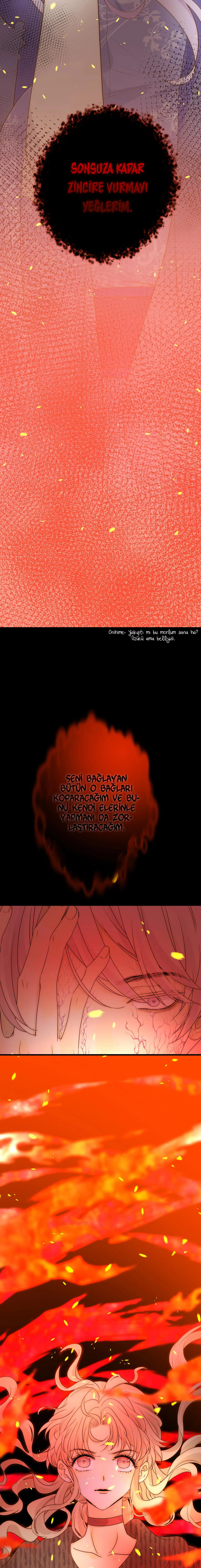 Zorbanın Gözyaşları - Bölüm 31 Sayfa 12
