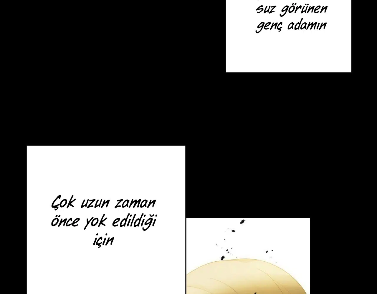 Zorbanın Gözyaşları - Bölüm 39 Sayfa 72