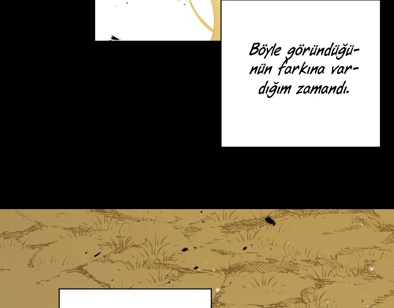 Zorbanın Gözyaşları - Bölüm 39 Sayfa 74
