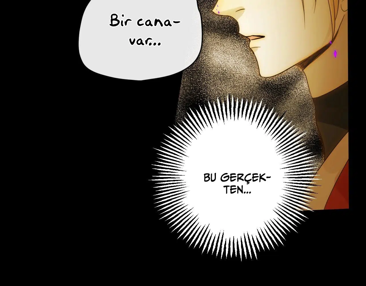 Zorbanın Gözyaşları - Bölüm 40 Sayfa 60