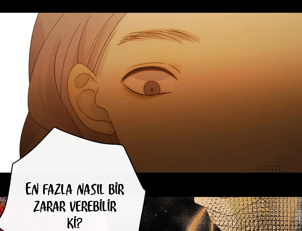 Zorbanın Gözyaşları - Bölüm 40 Sayfa 113