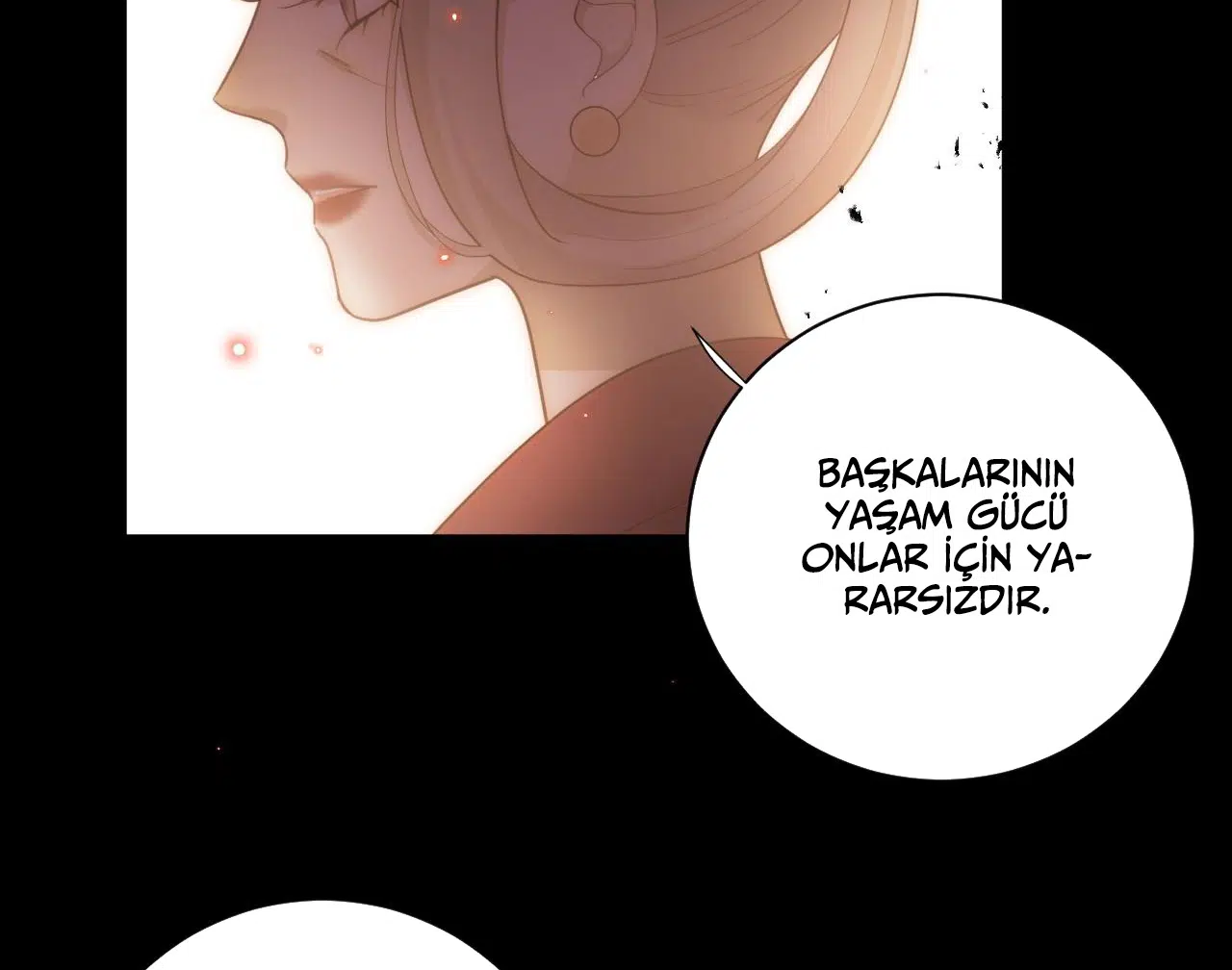 Zorbanın Gözyaşları - Bölüm 41 Sayfa 37