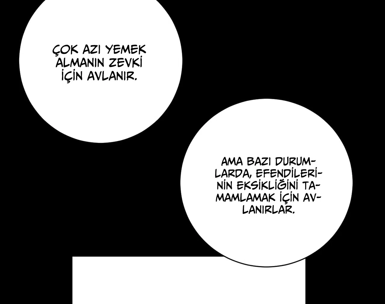 Zorbanın Gözyaşları - Bölüm 41 Sayfa 38