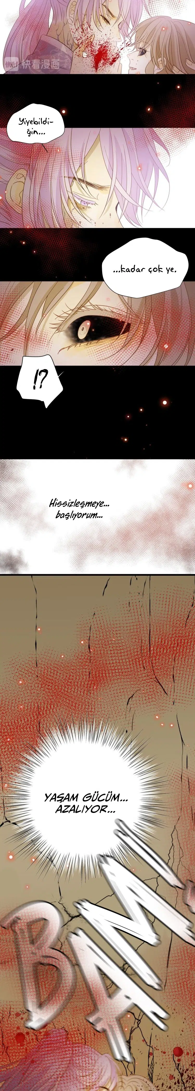 Zorbanın Gözyaşları - Bölüm 42 Sayfa 16