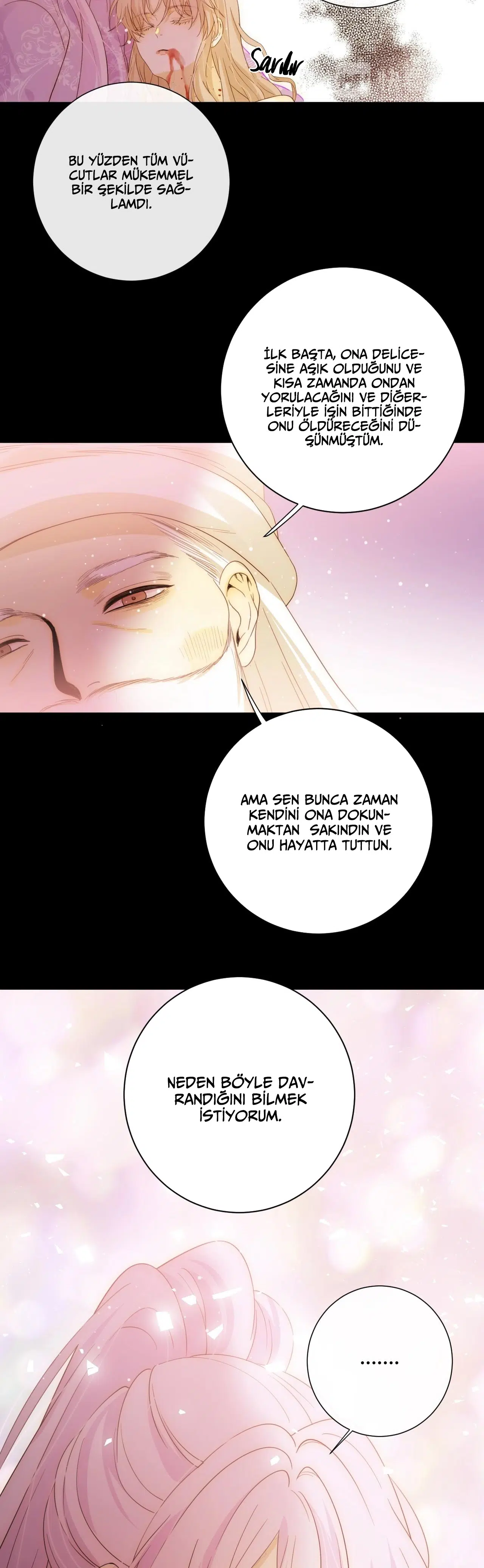 Zorbanın Gözyaşları - Bölüm 43 Sayfa 13