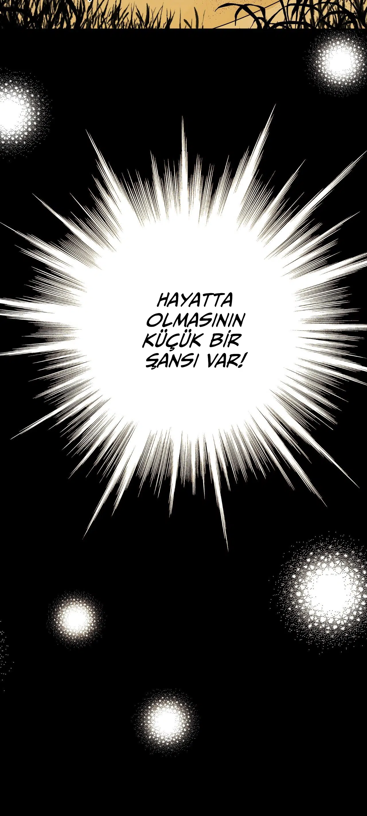 Zorbanın Gözyaşları - Bölüm 46 Sayfa 11
