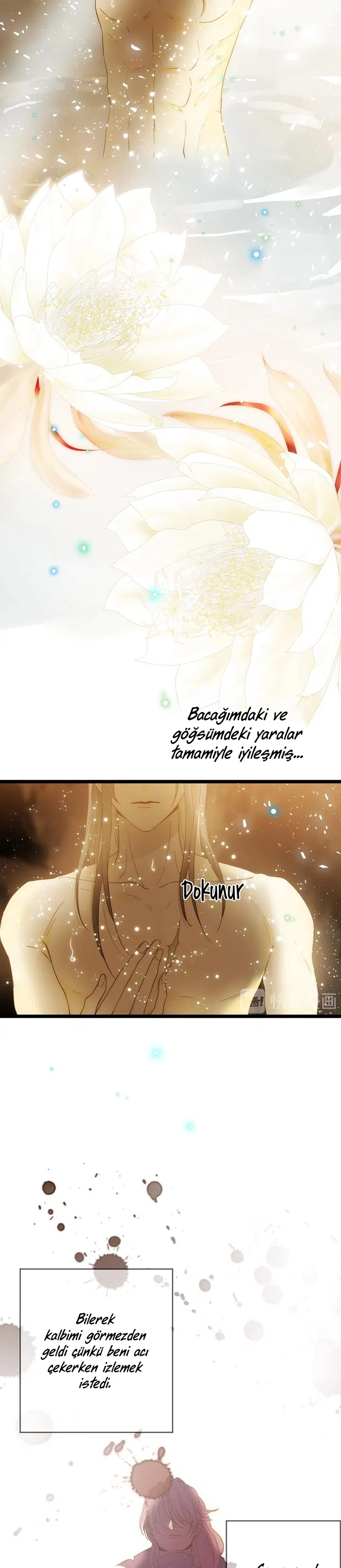 Zorbanın Gözyaşları - Bölüm 50 Sayfa 5