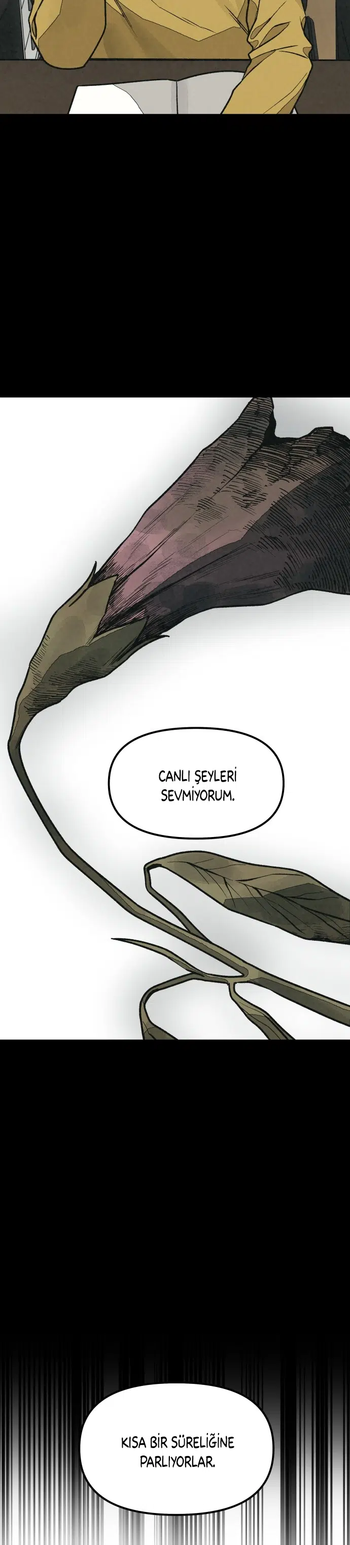Senin Cinayetin İçin - Bölüm 61 Sayfa 7