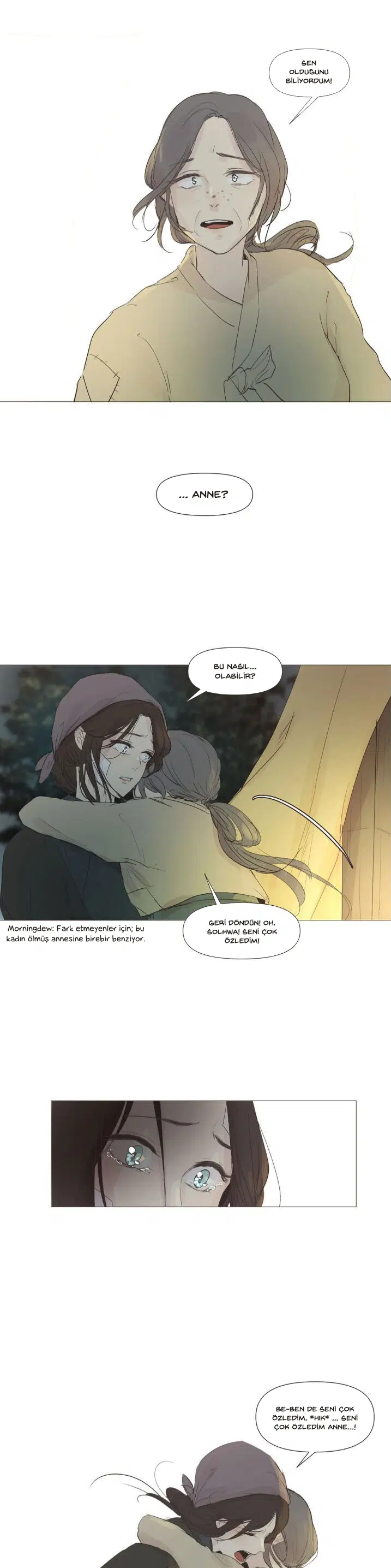 Ellin’s Solhwa - Bölüm 10 Sayfa 11