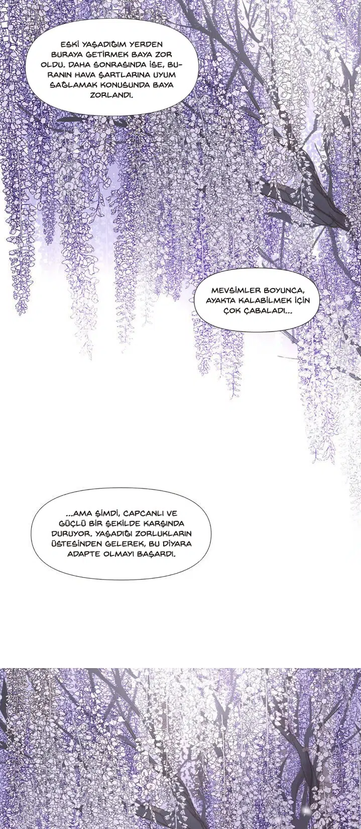 Ellin’s Solhwa - Bölüm 12 Sayfa 25