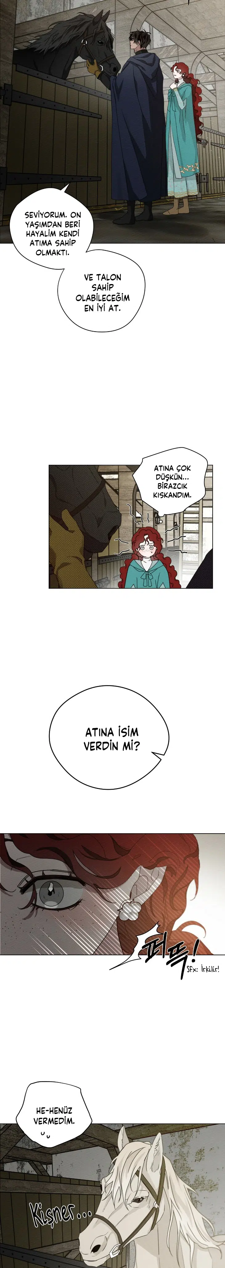 Meşe Ağacının Altında - Bölüm 32 Sayfa 12