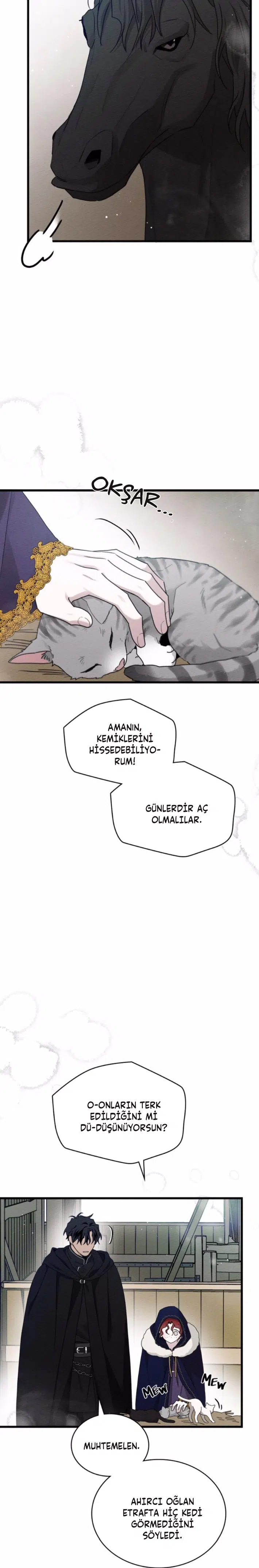 Meşe Ağacının Altında - Bölüm 46 Sayfa 10