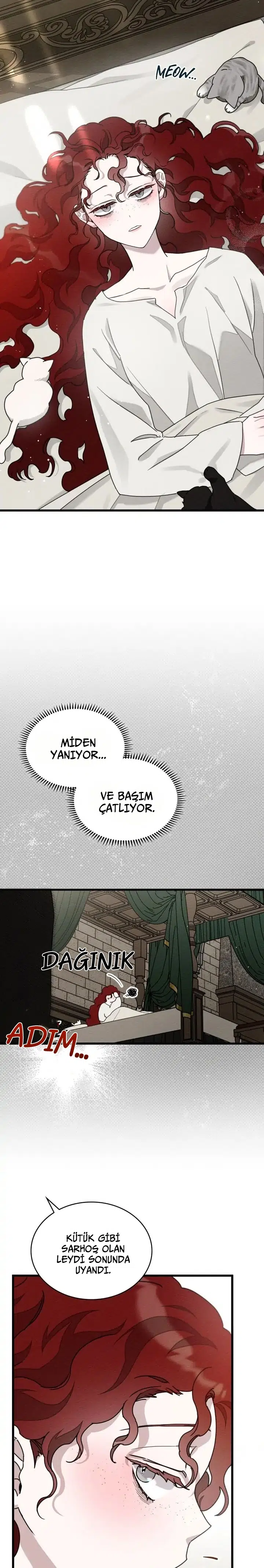 Meşe Ağacının Altında - Bölüm 49 Sayfa 12