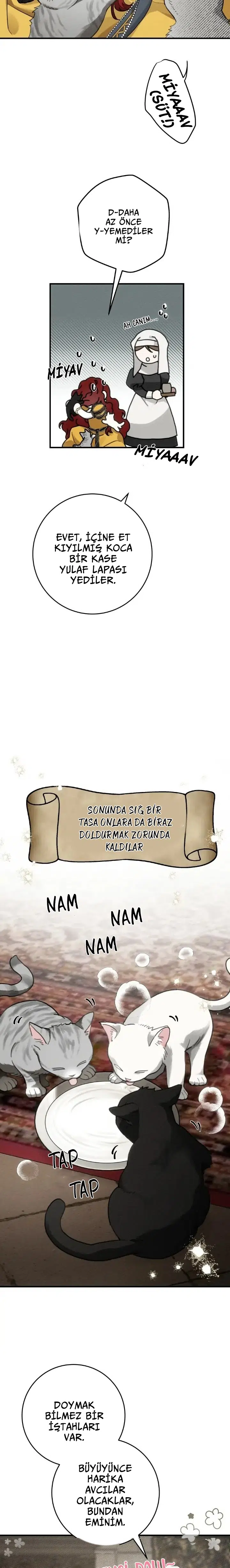 Meşe Ağacının Altında - Bölüm 56 Sayfa 20