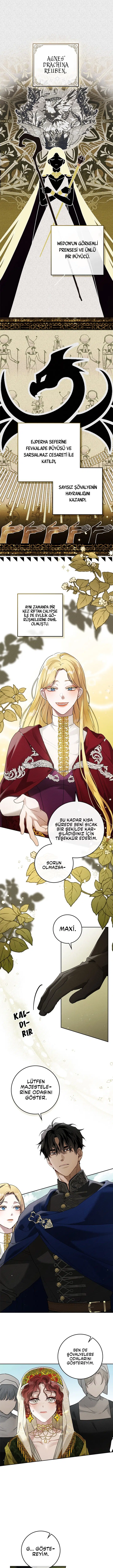 Meşe Ağacının Altında - Bölüm 65 Sayfa 2