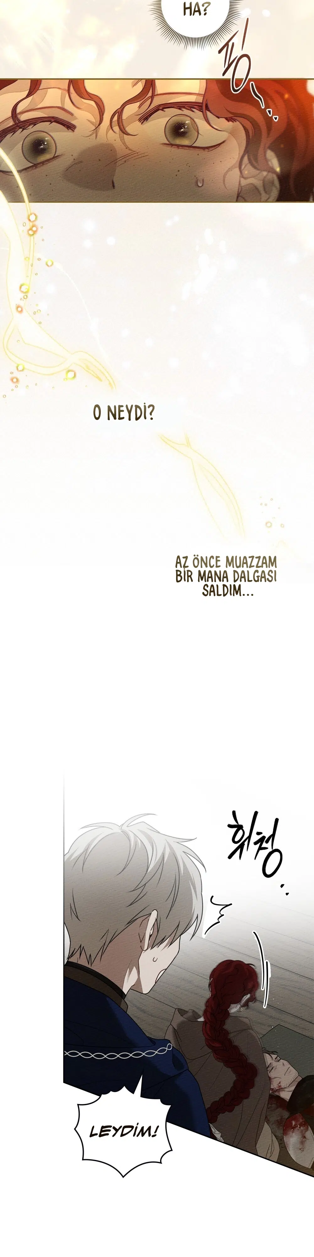 Meşe Ağacının Altında - Bölüm 71 Sayfa 23