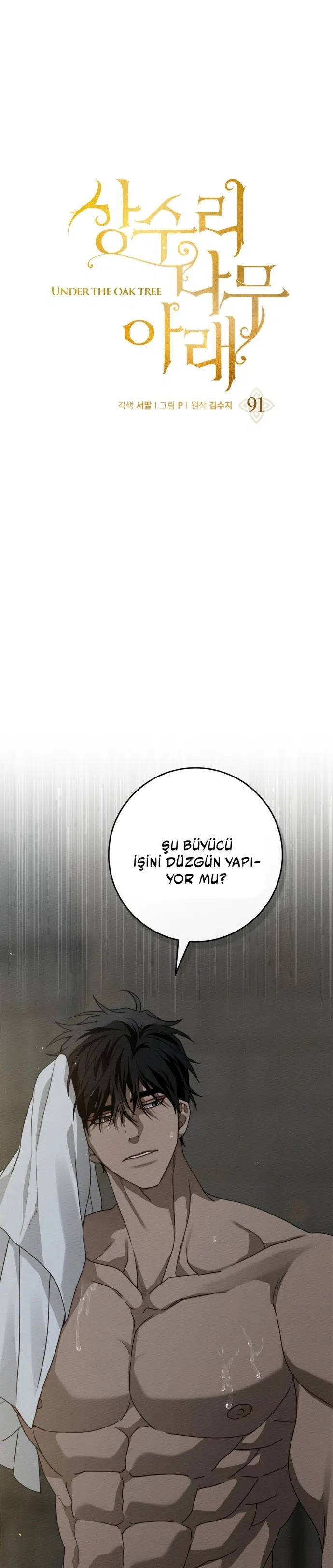 Meşe Ağacının Altında - Bölüm 91 Sayfa 15