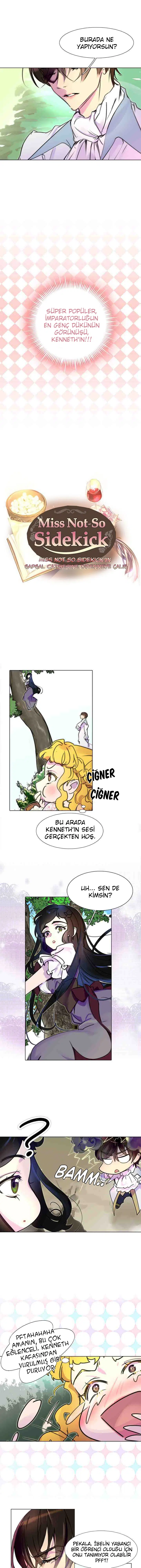 Baş Belası Figüran Hanım - Bölüm 8 Sayfa 2