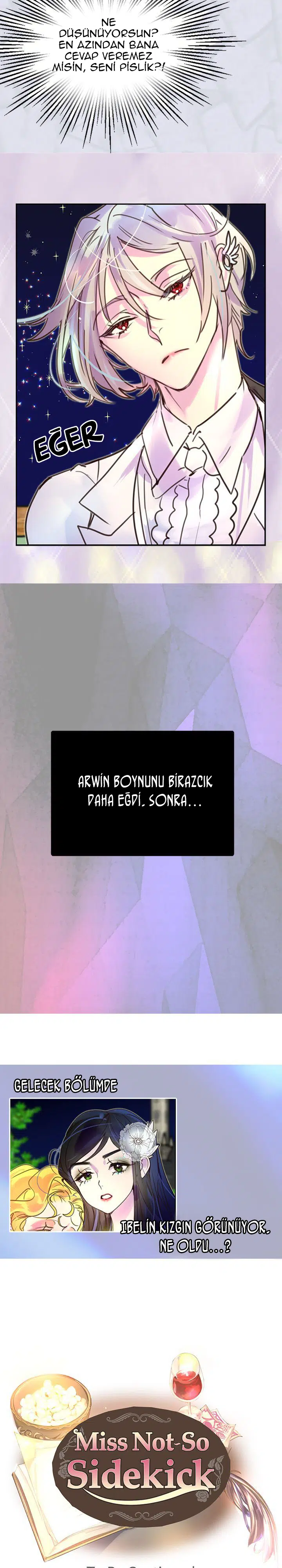 Baş Belası Figüran Hanım - Bölüm 43 Sayfa 17